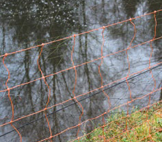 Ein Zaun um einen Fischteich vor Fischotter zu schützen