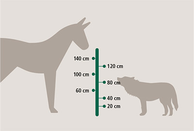 Grafik Planung und Maße des halbpermanentem Wolfsabwehrzaun