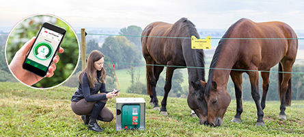 Eine Landwirtin steuert das Weidezaungerät ihrer Pferdeweide mit der Smart Energizer App auf ihrem Mobiltelefon
