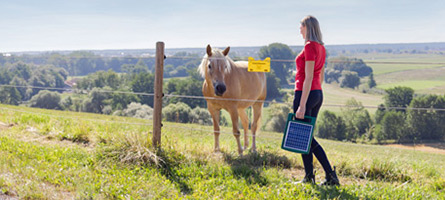 Eine Landwirtin installiert ein Solar betriebenes Weidezaungerät am Zaun  ihrer Pferdeweide