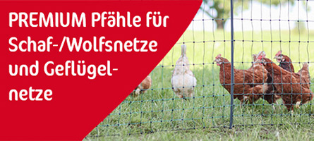 Teaserbild für AKO PREMIUM Pfähle für Schaf- und Wolfsnetze und Geflügelnetze